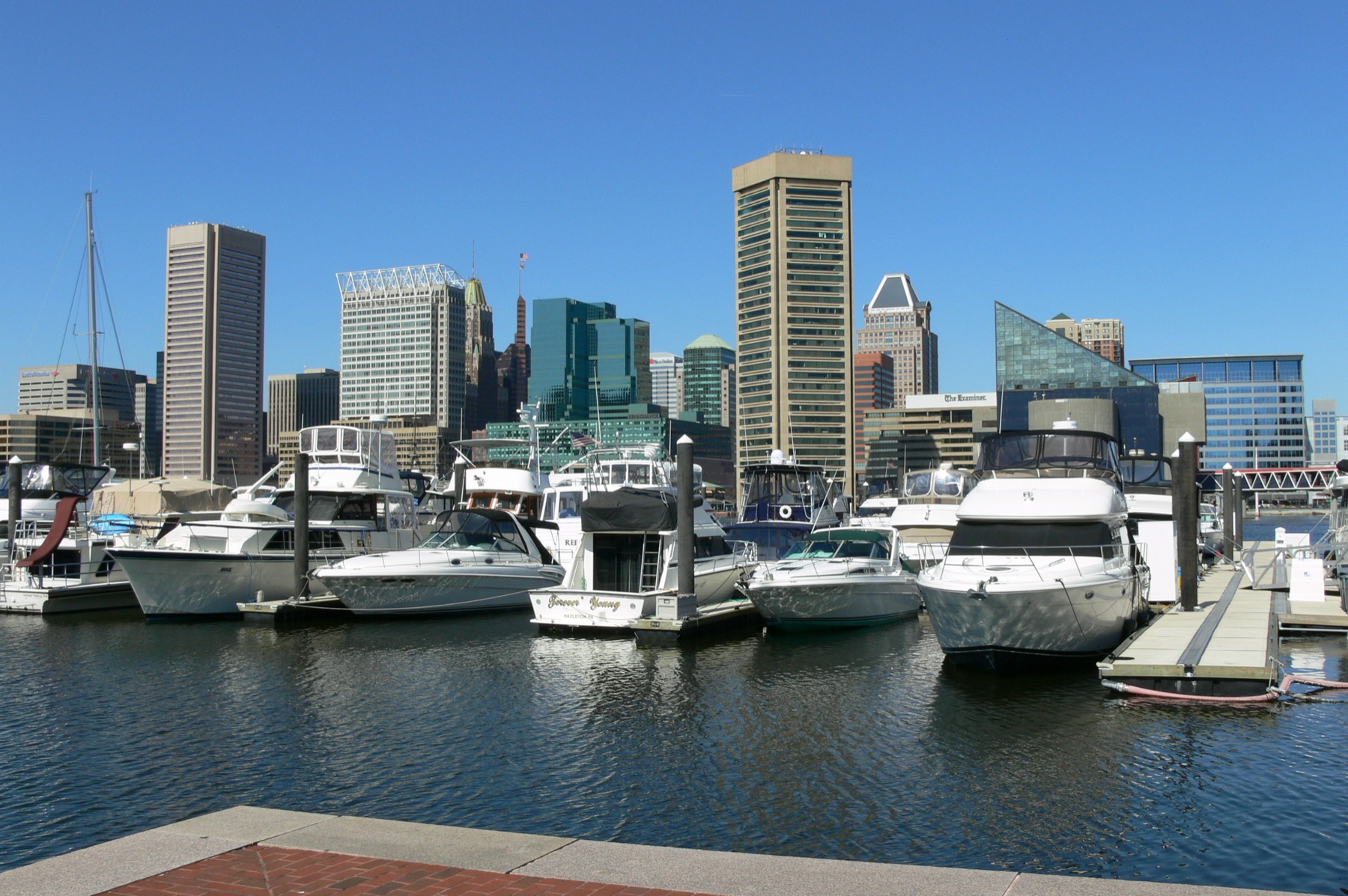 Eco-Waste service in Baltimore, Maryland